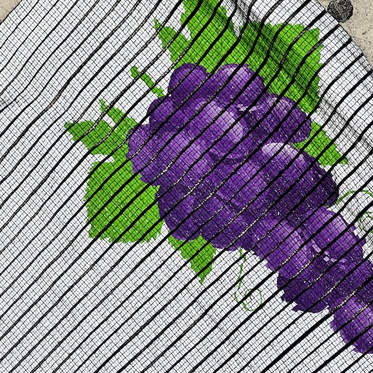 PE+PET Innenschattiernetz (Gewächshaus)