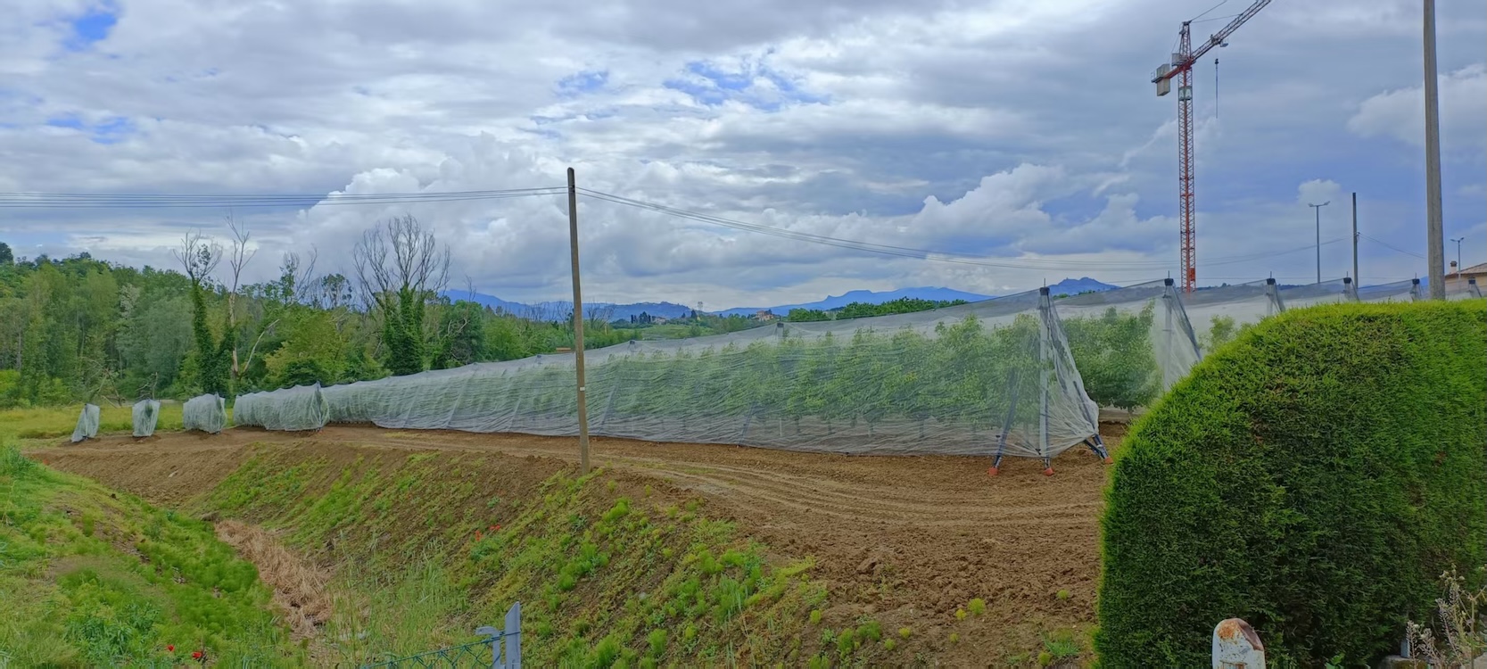 Insektenschutznetz & Fein-Insektenschutznetz